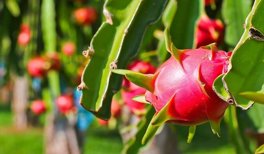 12 cảnh báo của EU .jpg