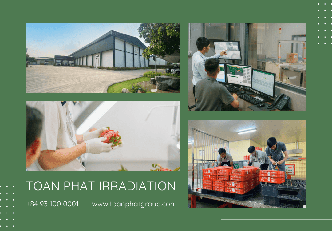 Dịch vụ chiếu xạ thực phẩm: bảo đảm an toàn cho nông sản và thúc đẩy hoạt động xuất khẩu