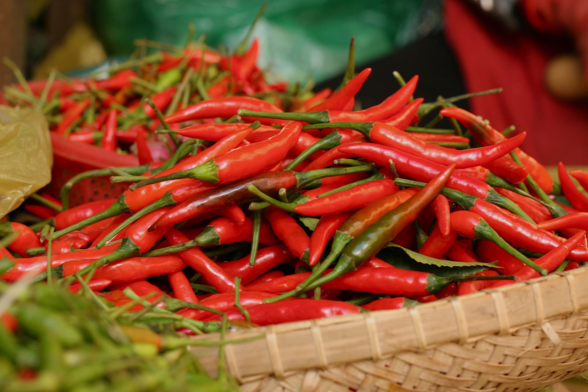 Chili prices plummet more than tenfold