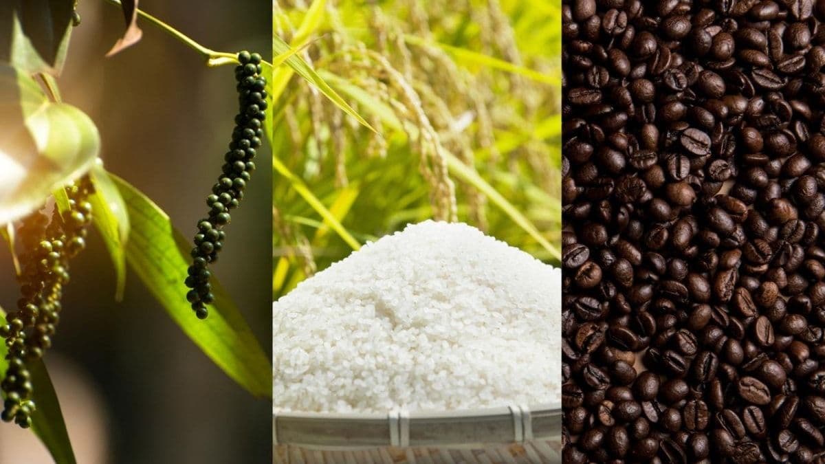 Halting the price decline of agricultural exports