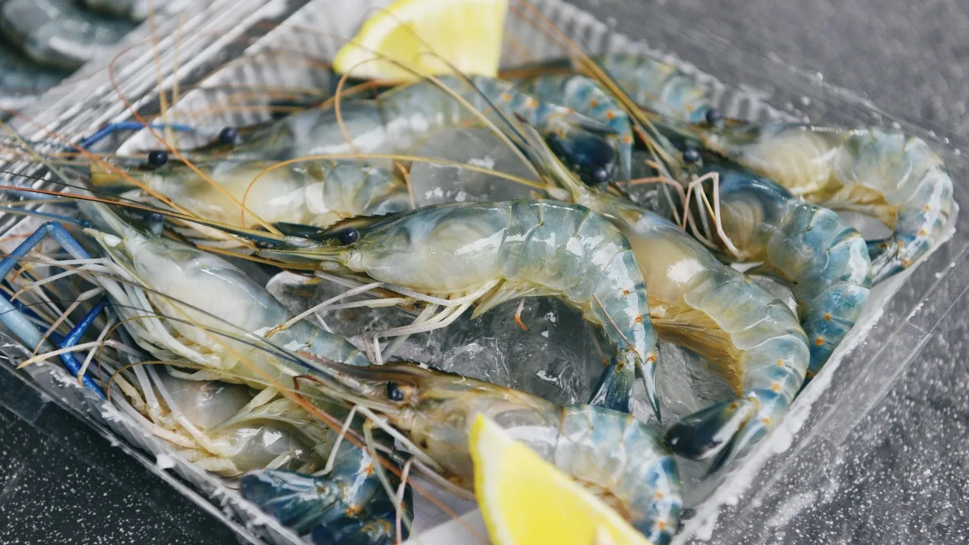 Clearing procedural bottlenecks for certified export shrimp raw materials