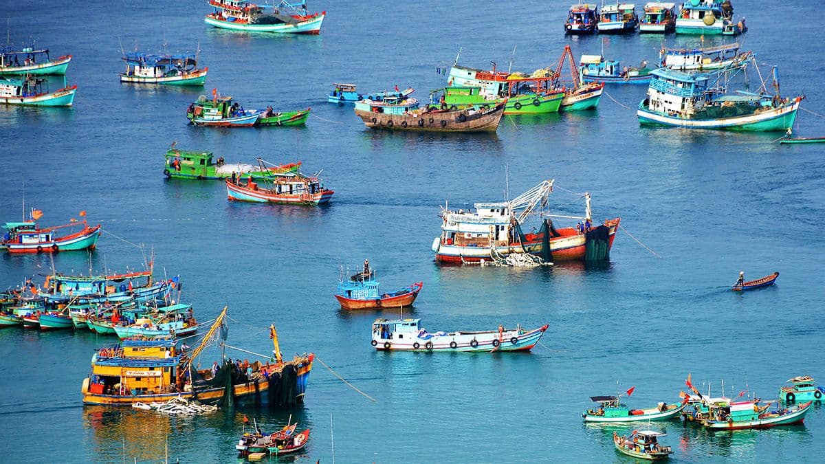 The primary growth drivers for Vietnamese seafood exports