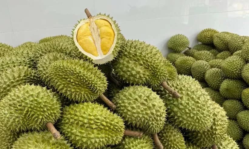 SR sang TQ gặp khó .webp