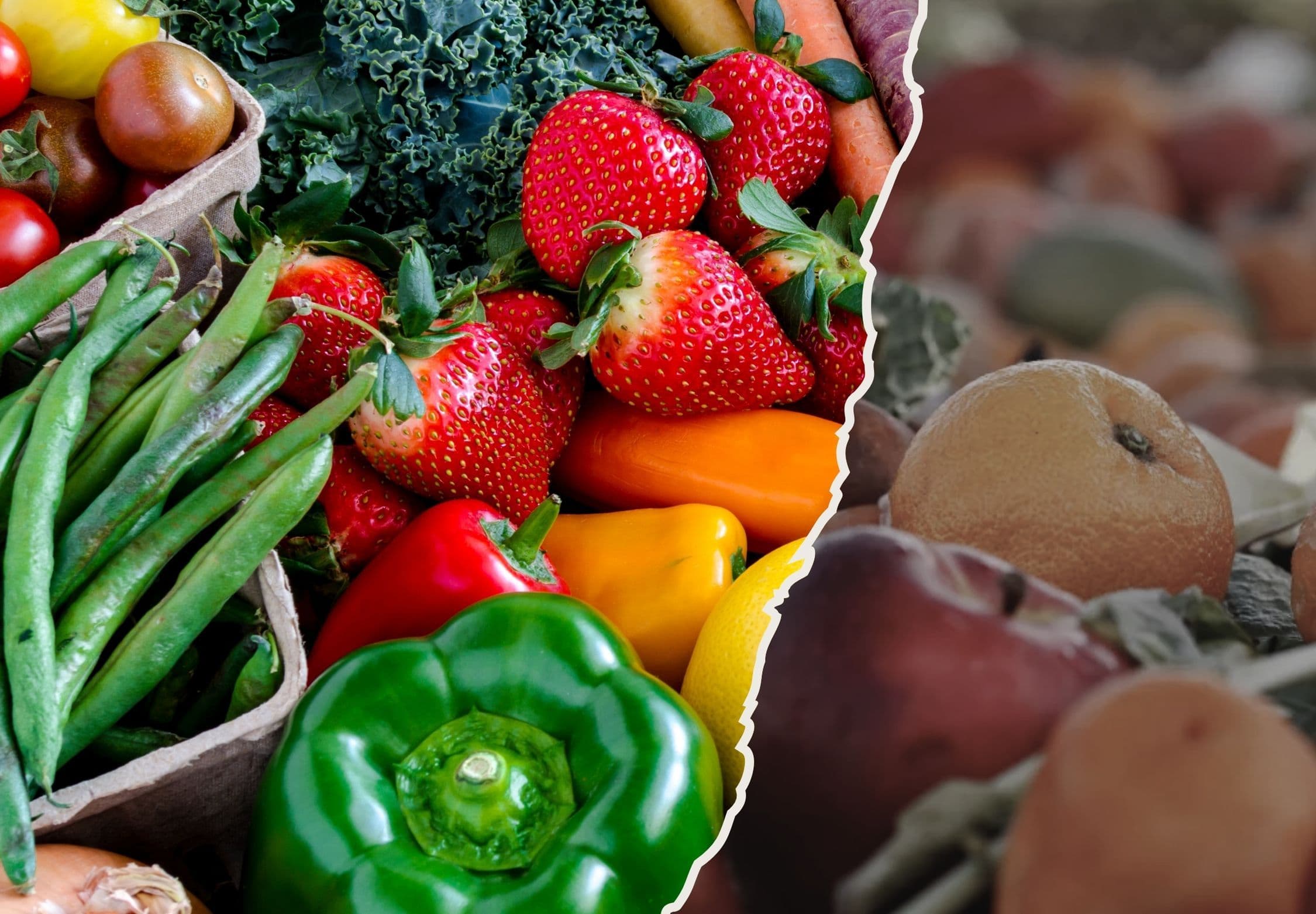 Thiết kế Blog.jpg