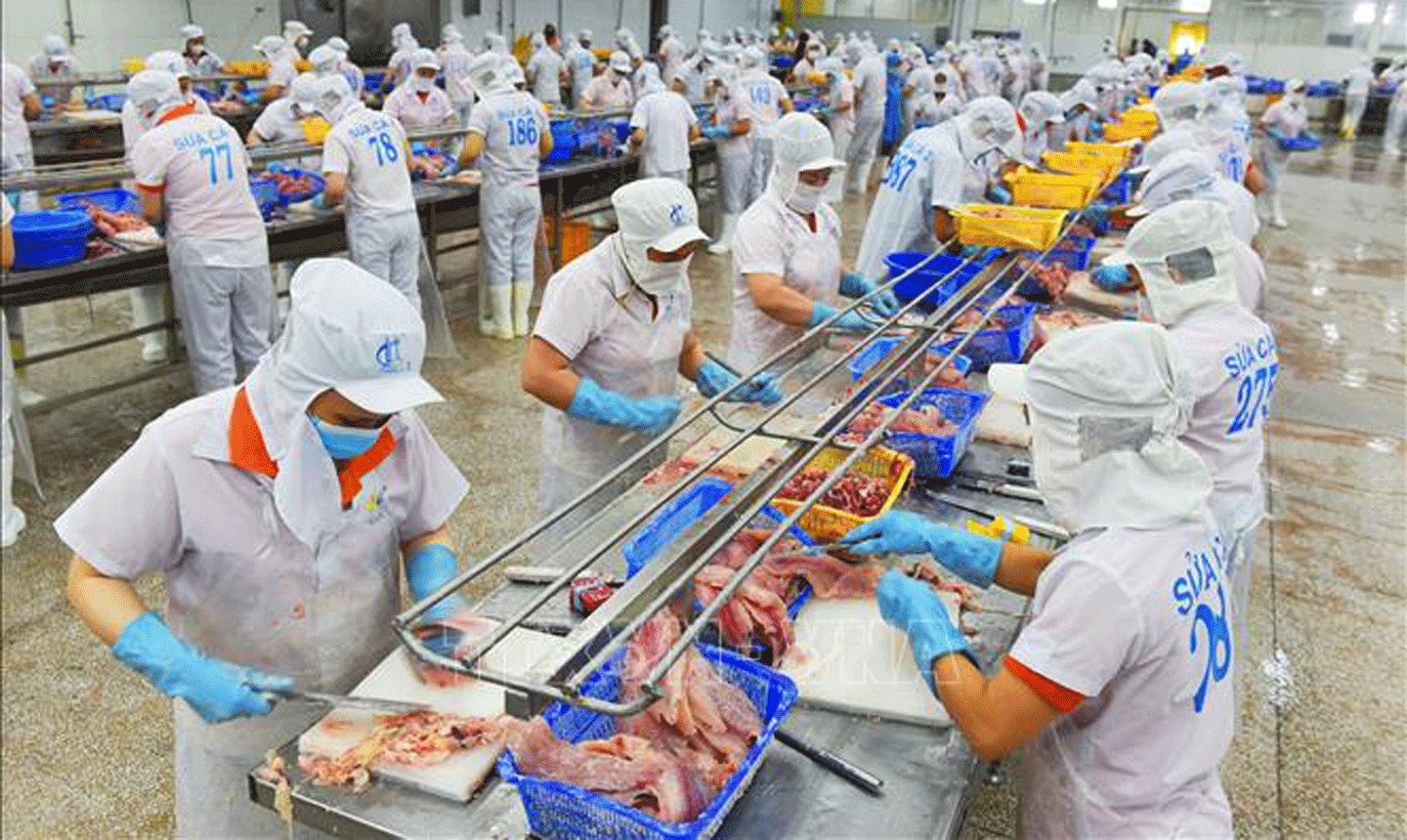 Thuỷ sản tăng.gif