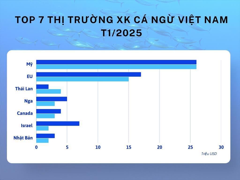Top 7 thị trường XK Cá ngừ Việt Nam.jpeg