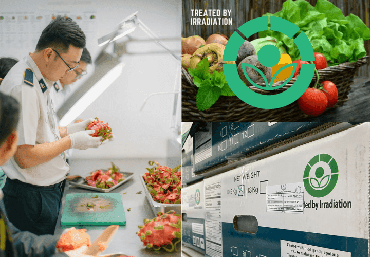 Efficiency and benefits from preserving food and fruits by irradiation method