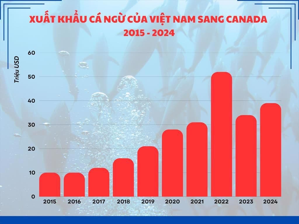 XK cá ngừ sang Can.jpeg