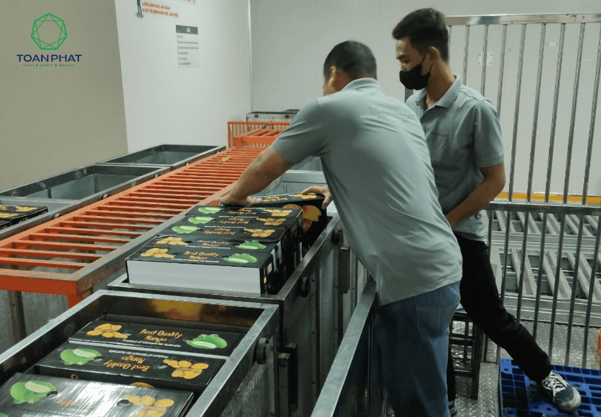 Toan Phat Irradiation processes the first shipment of fresh fruit for export to the Australian market