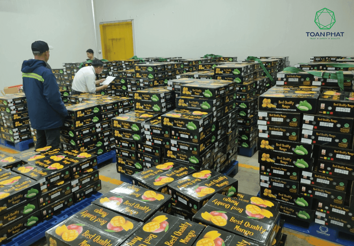 Xuất khẩu dừa (2).png