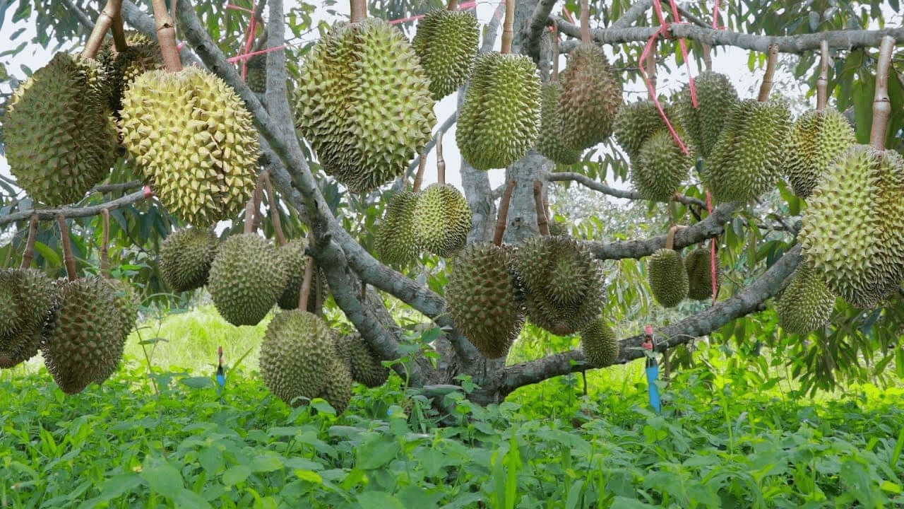 bứt phá.jpg