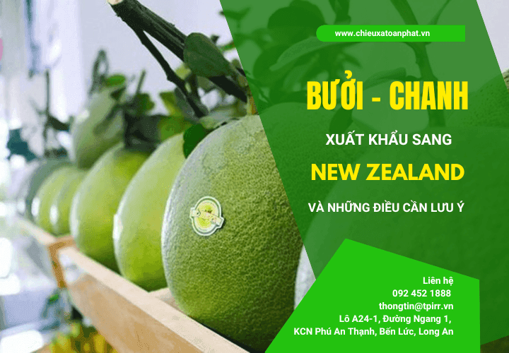 Cần lưu ý gì khi xuất khẩu bưởi, chanh sang New Zealand?