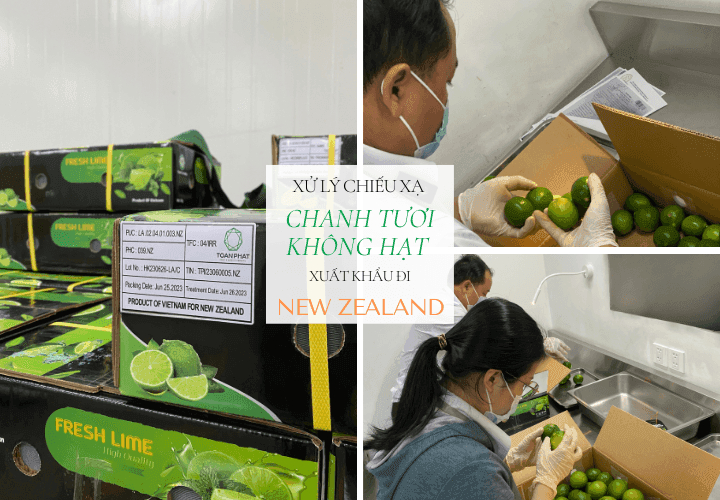 TPI processes irradiated the first batch of seedless lemons for export to New Zealand