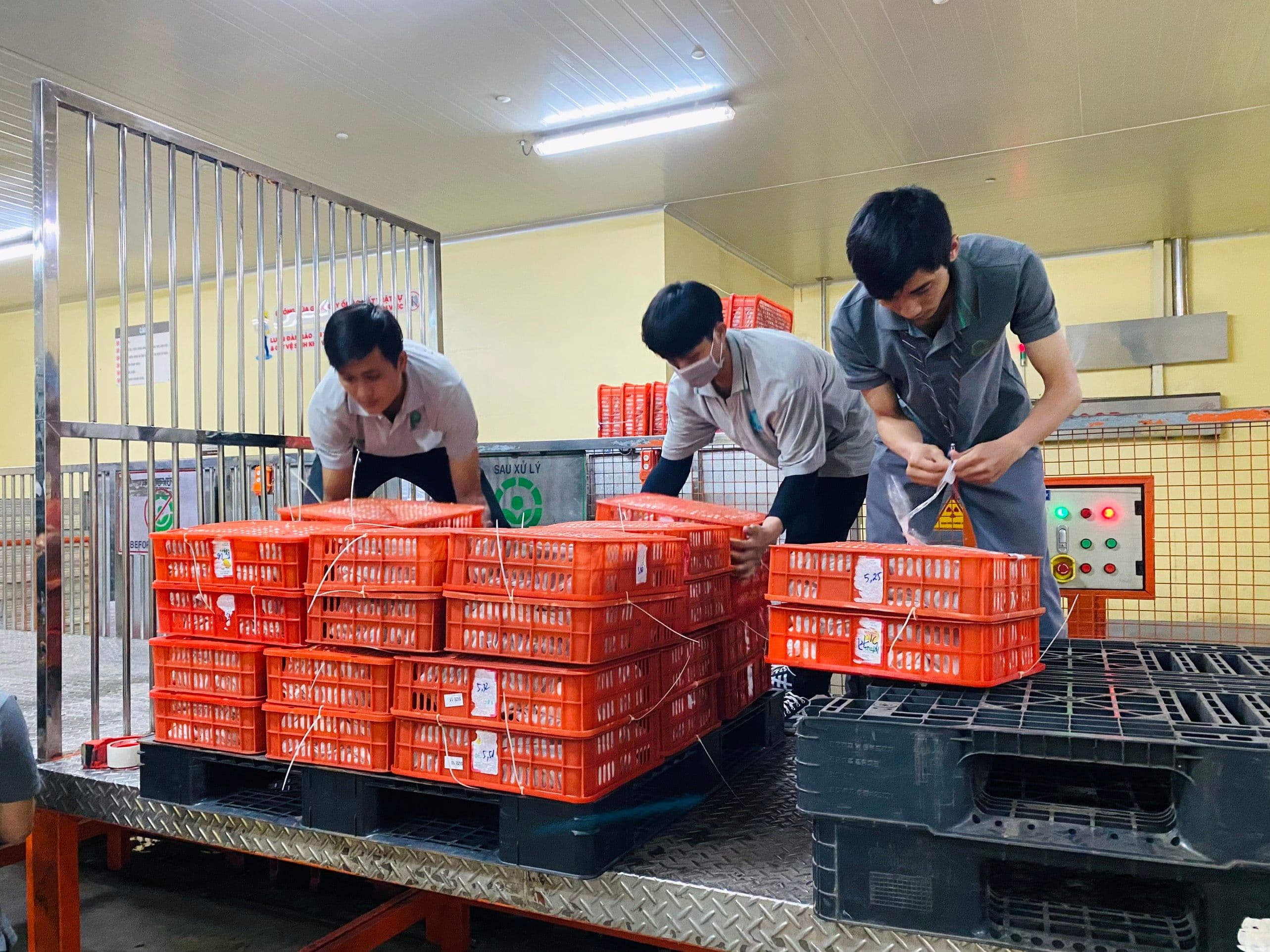 dosemappingvai2 (1).jpg