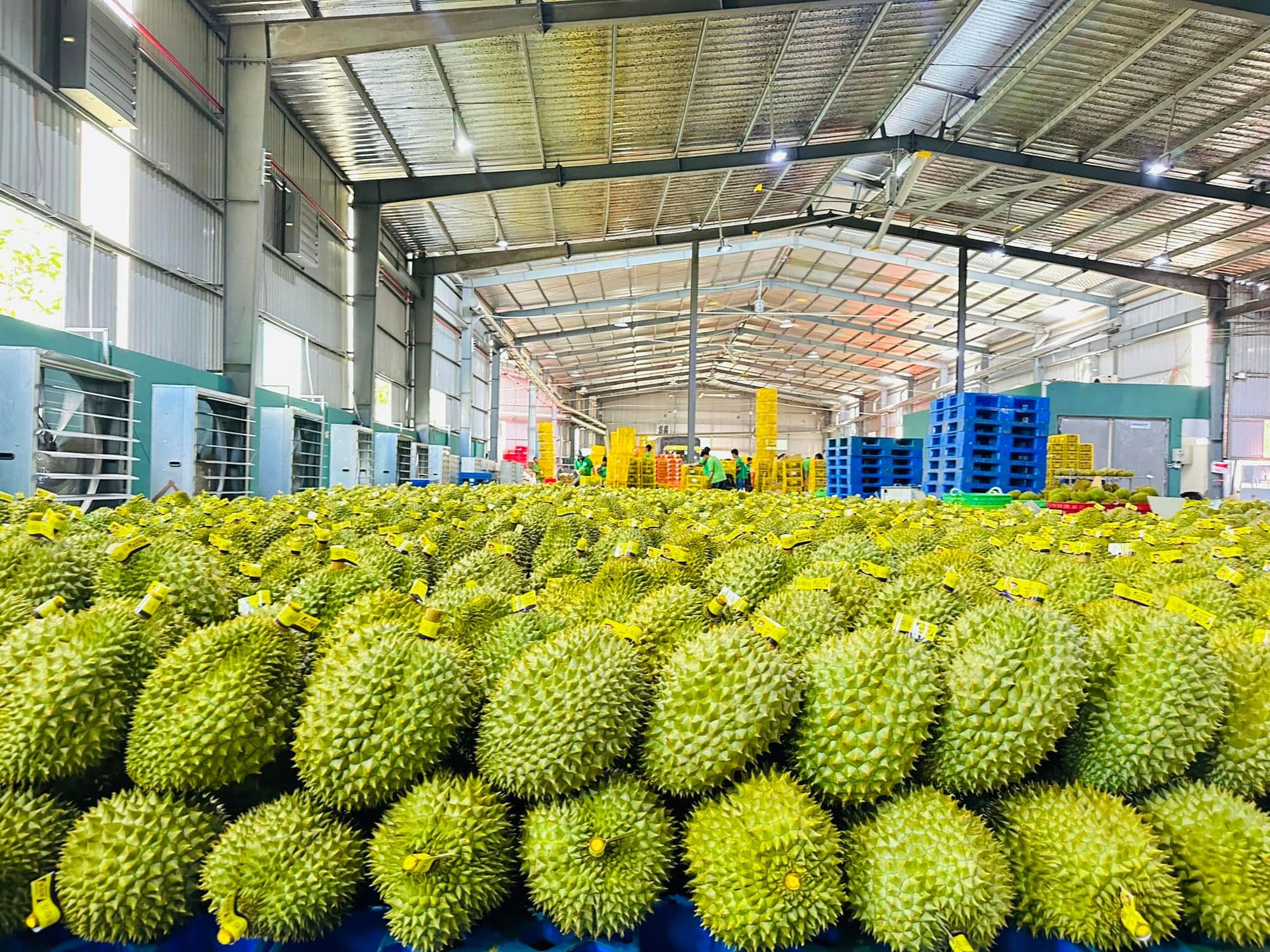 giảm 2 con số .jpg