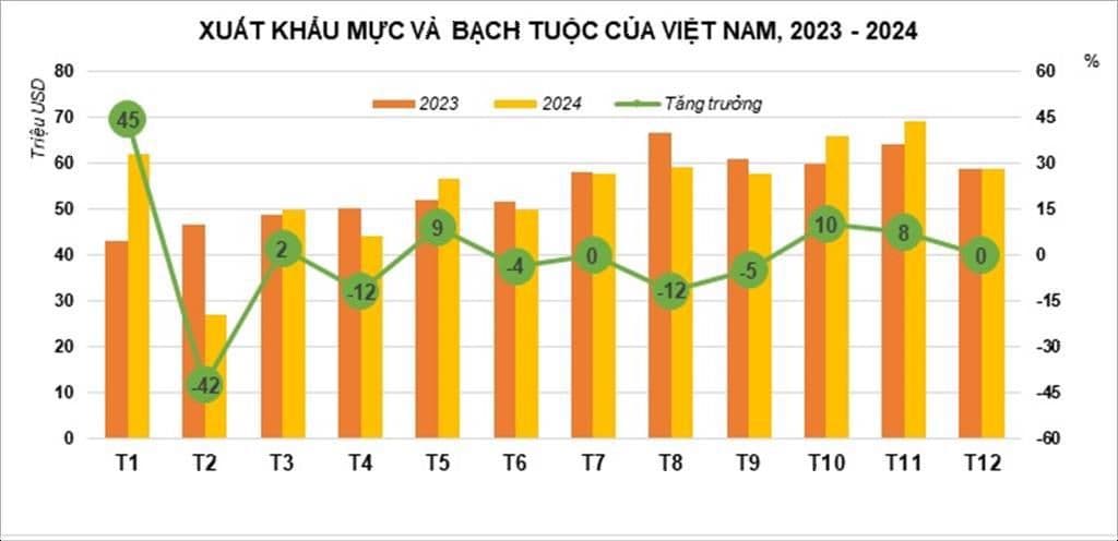 mực và bạch tuộc 2.jpeg