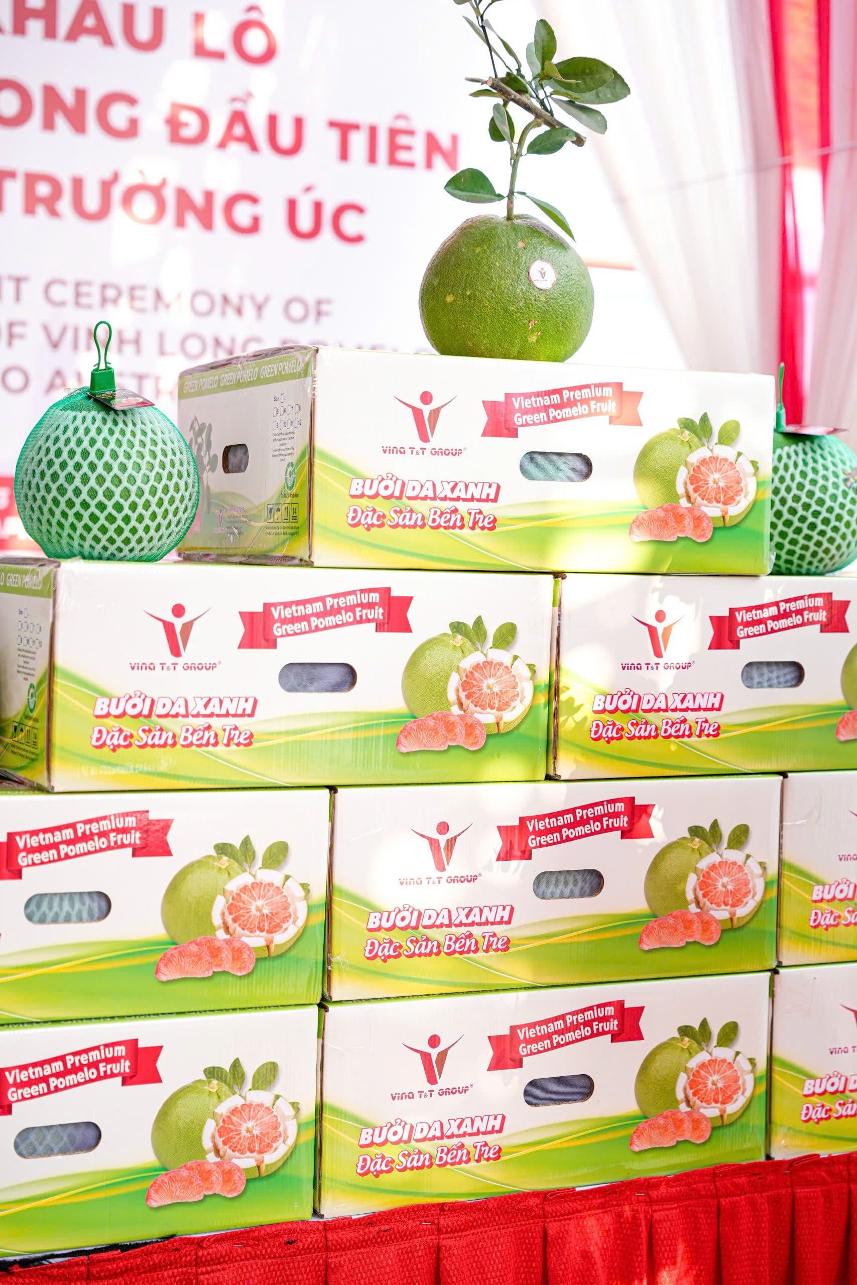 First shipment of Vinh Long pomelos exported to Australia, opening access to one of the most demanding markets