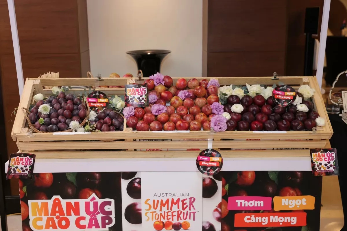 sự đa dạng mận Úc.webp