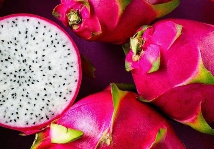 Các biện pháp và thủ tục cần thực hiện để đáp ứng quy định về kiểm dịch thực vật khi xuất khẩu thanh long sang EU