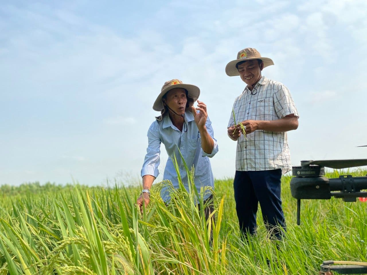 thương mai nông nghiệp.jpg