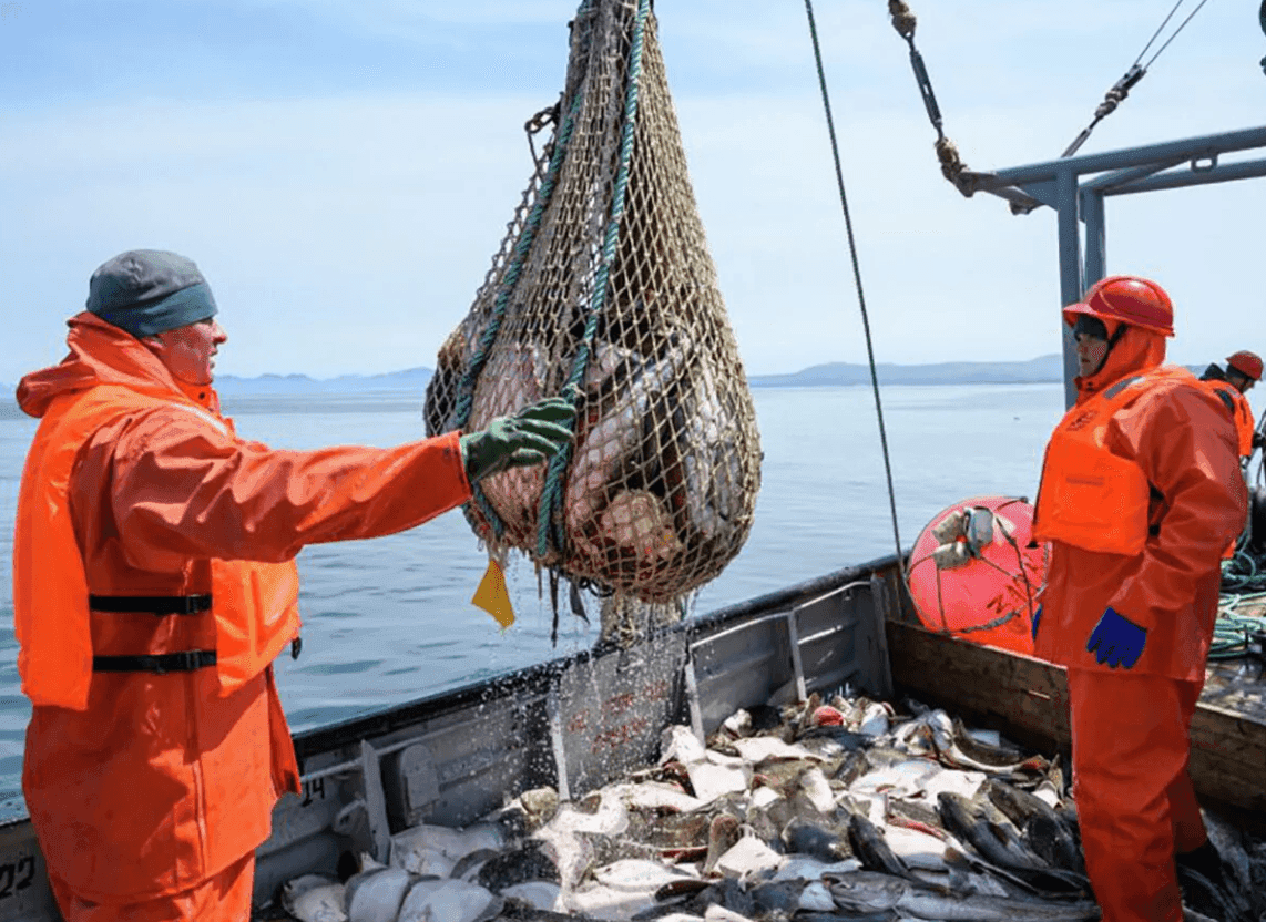 thuỷ sản Mỹ.png