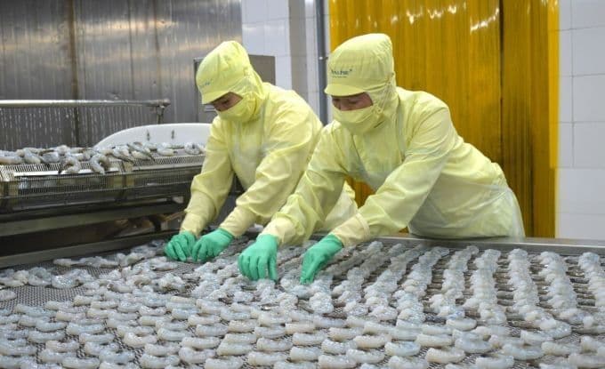 xk tôm tích cực.jpg