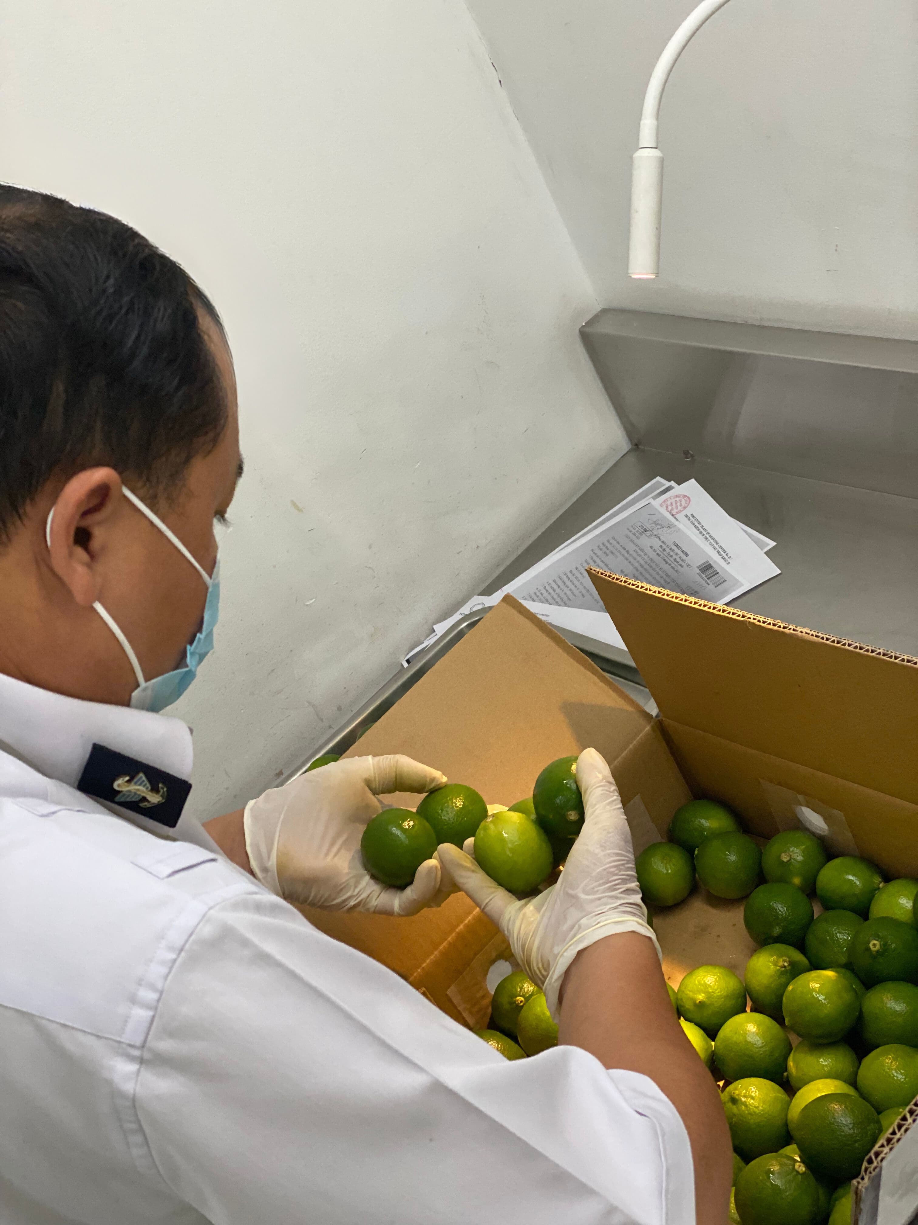 IMG_7024 - Edited.jpg