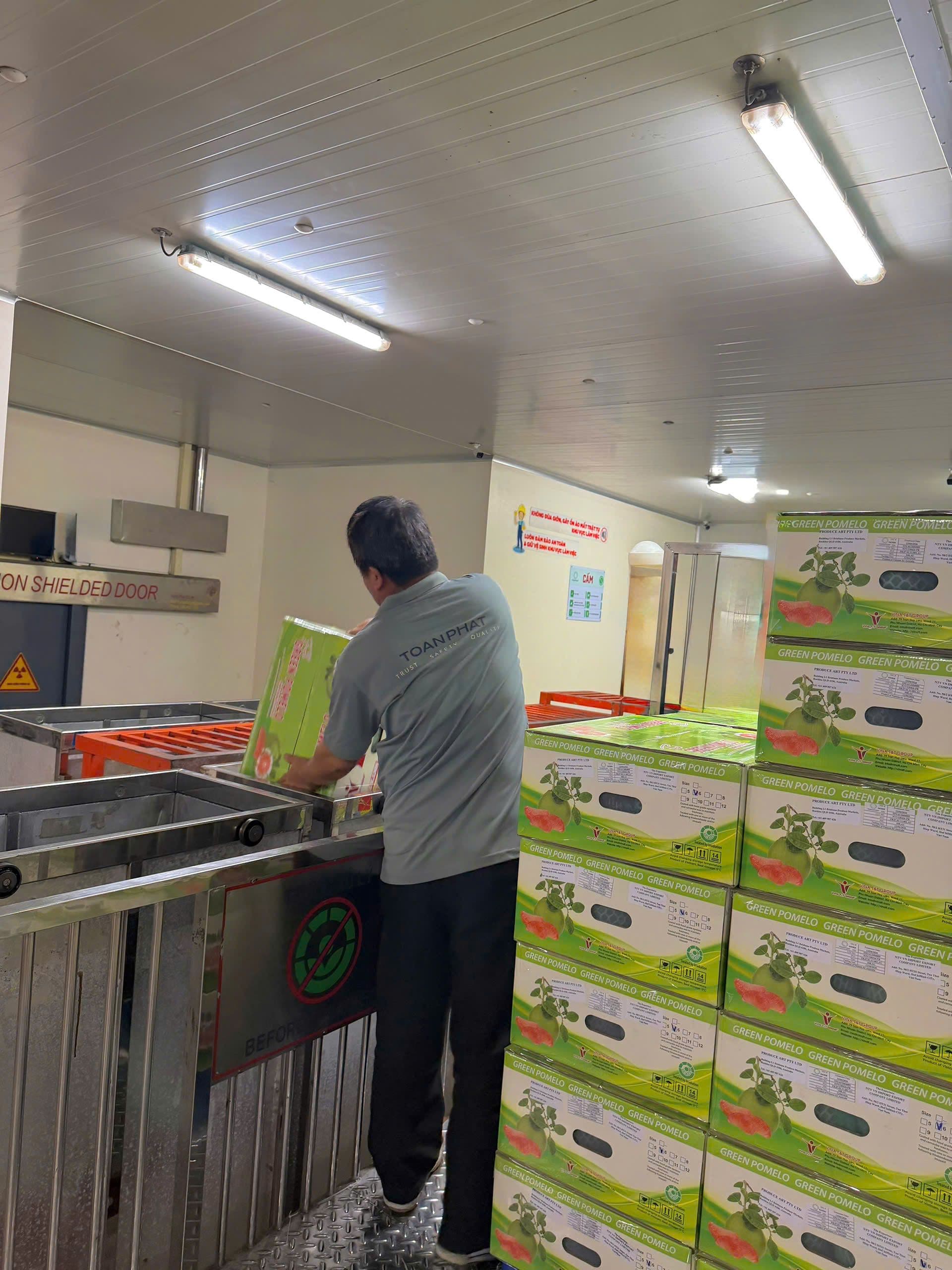 Quy trình chiếu xạ bưởi tại Nhà máy Chiếu xạ Toàn Phát.jpg