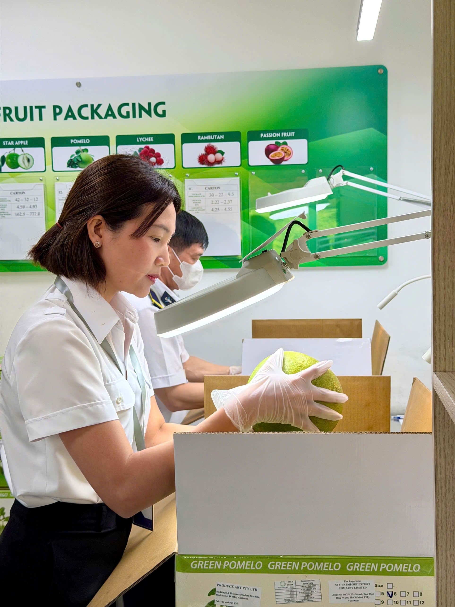 Quy trình kiểm dịch lô bưởi xuất đi thị trường Úc ngày 13.04 tại Nhà máy Chiếu xạ Toàn Phát.jpg