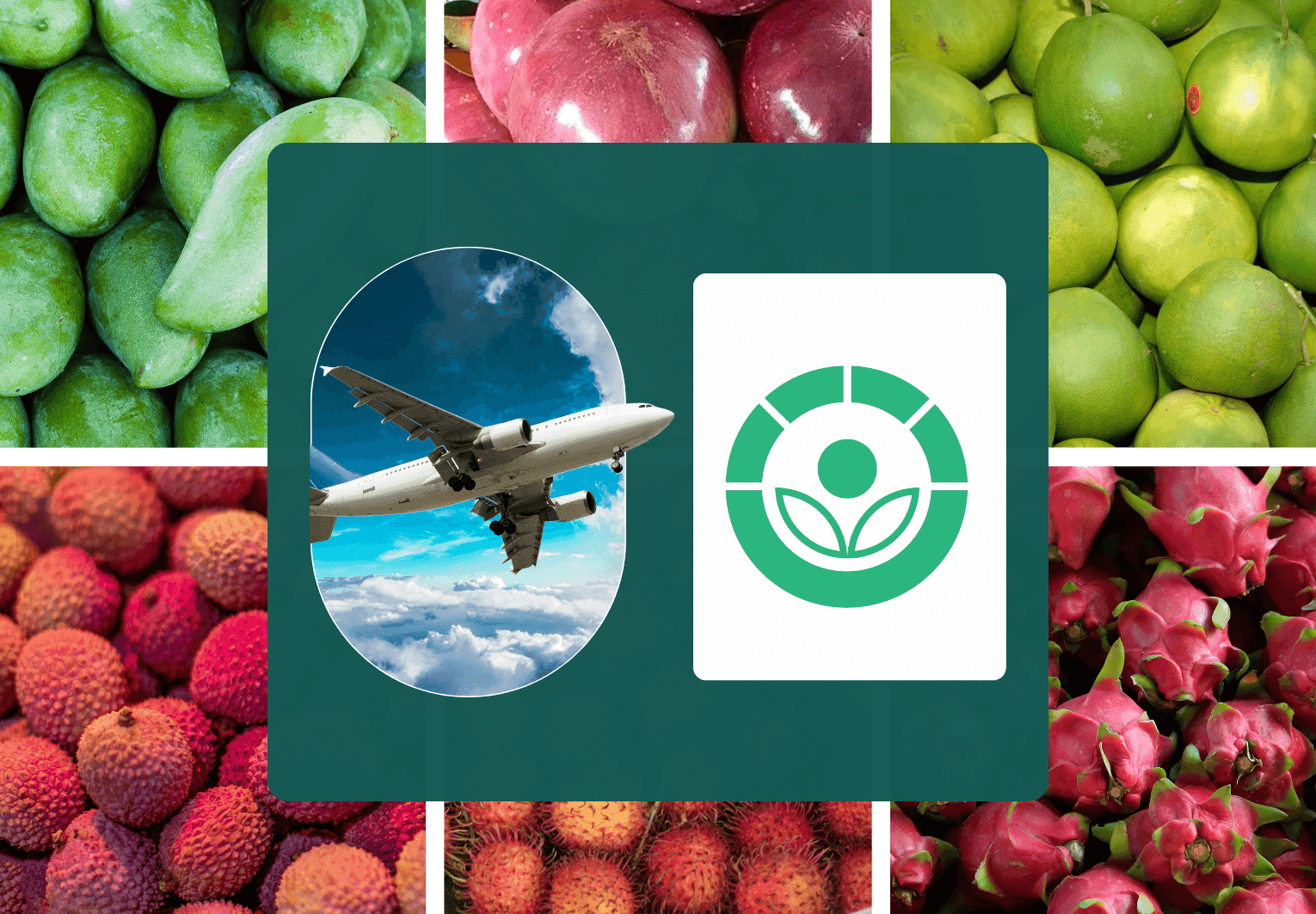 Irradiation – The “Technological passport” elevating Vietnamese agricultural products to the global stage