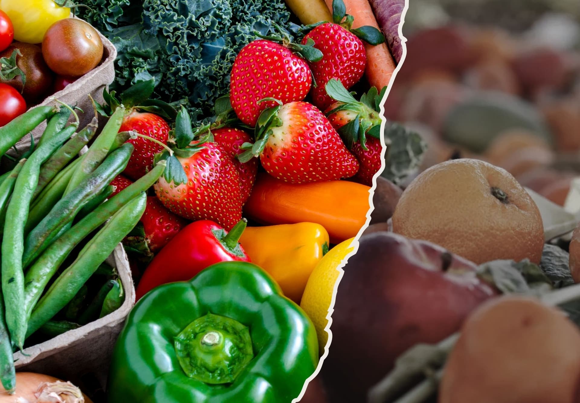 Thách thức trong quản lý thất thoát thực phẩm