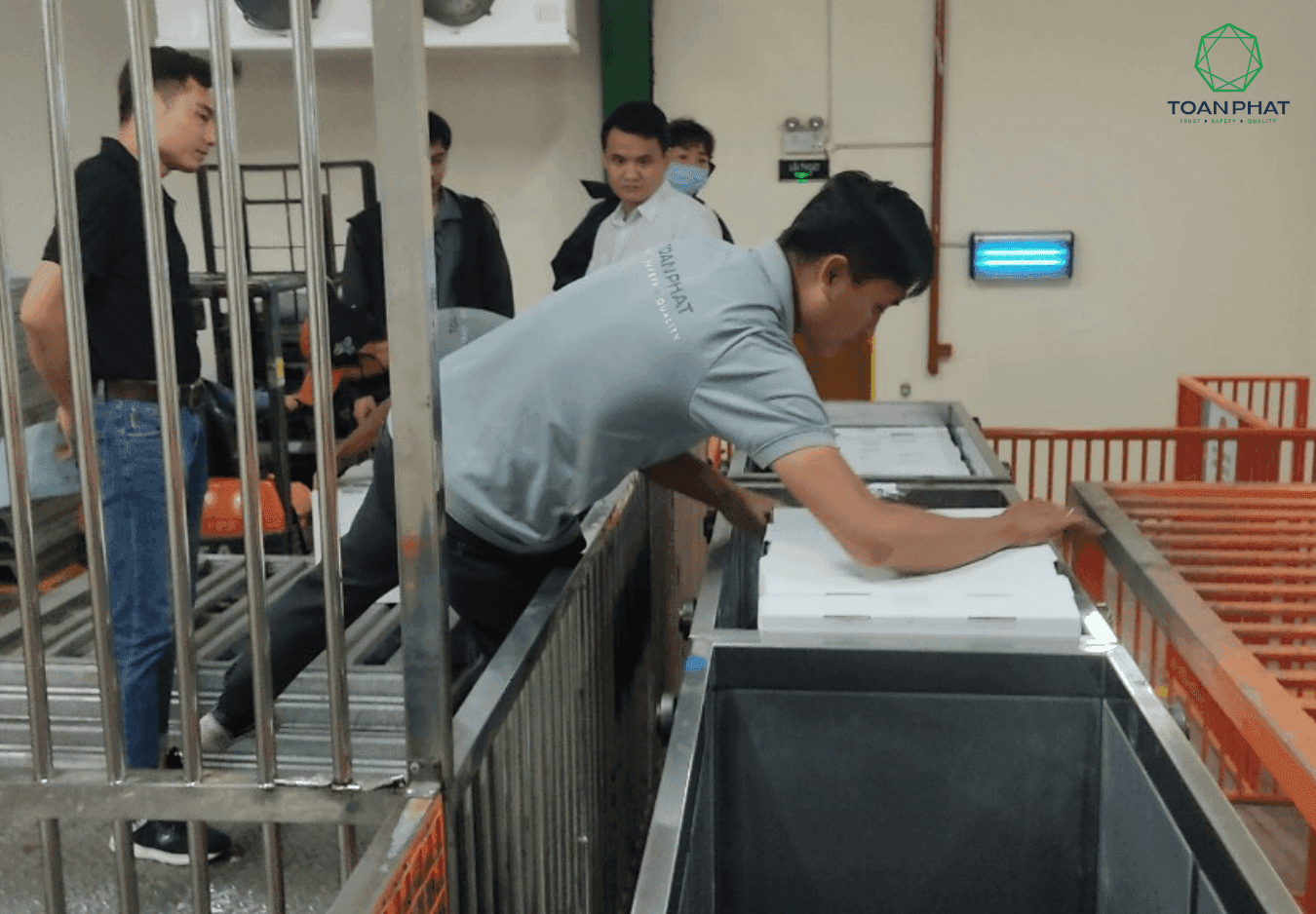 Xử lý chiếu xạ trái cây tươi tại Nhà máy Chiếu xạ Toàn Phát.png